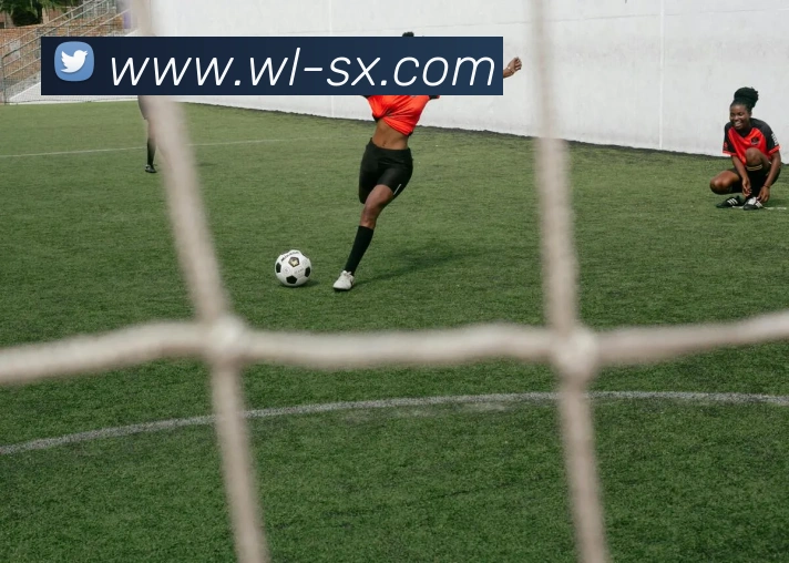 奖项图1